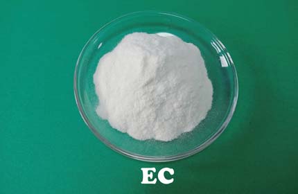 Etilcellulosa (EC)