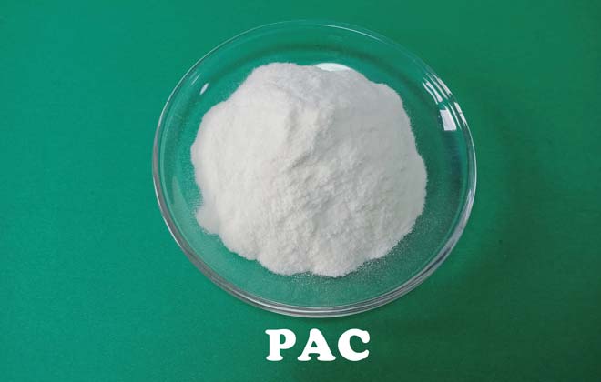 Cellulosa polianionica (PAC)