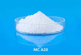 MC A20